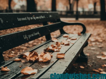 Love Failure Quotes Love Failure Quotes